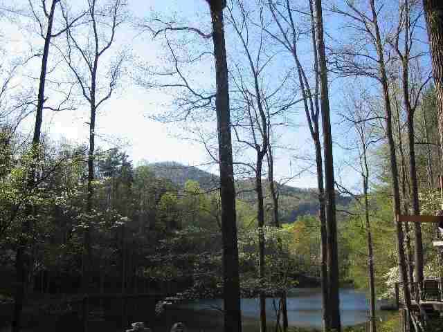 249 Pinnacle Lake Road, Unit NEAR Marietta, SC 29661 - Photo 11 of 11 Gallery Image 11