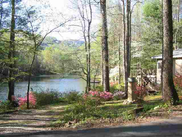 249 Pinnacle Lake Road, Unit NEAR Marietta, SC 29661 - Photo 3 of 11 Gallery Image 3
