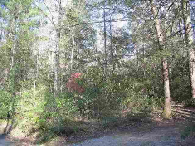 249 Pinnacle Lake Road, Unit NEAR Marietta, SC 29661 - Photo 4 of 11 Gallery Image 4