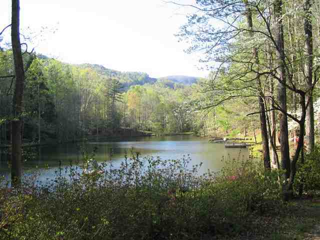 249 Pinnacle Lake Road, Unit NEAR Marietta, SC 29661 - Photo 7 of 11 Gallery Image 7
