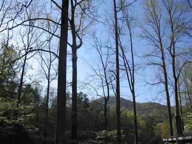 249 Pinnacle Lake Road, Unit NEAR Marietta, SC 29661 - Photo 9 of 11 Gallery Image 9