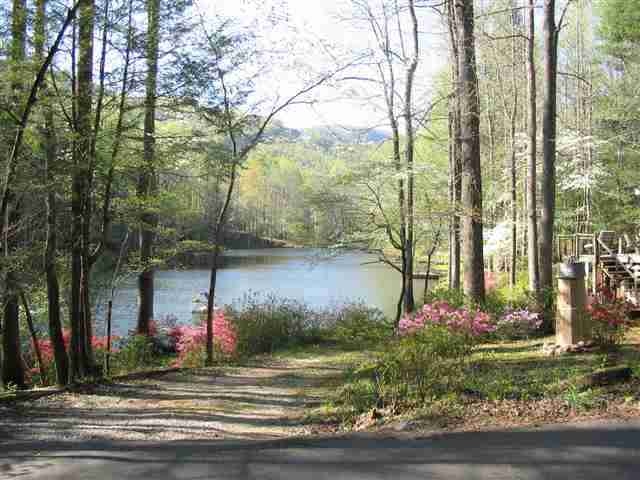 249 Pinnacle Lake Road, Unit NEAR Marietta, SC 29661 - Photo 10 of 11 Gallery Image 10