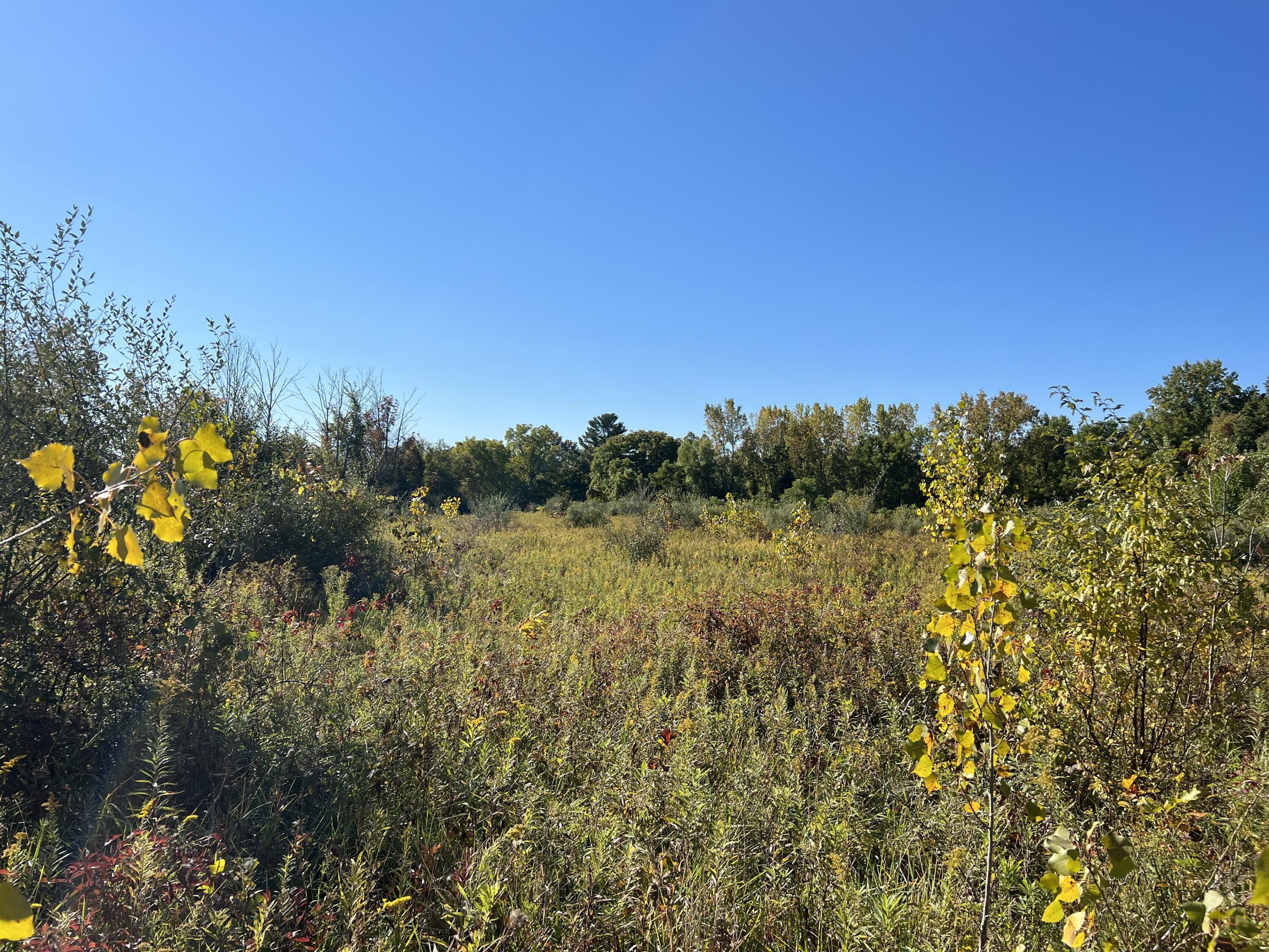 2480 Hillandale Road Benton Harbor, MI 49022 - Photo 65 of 65 IMG_0564
