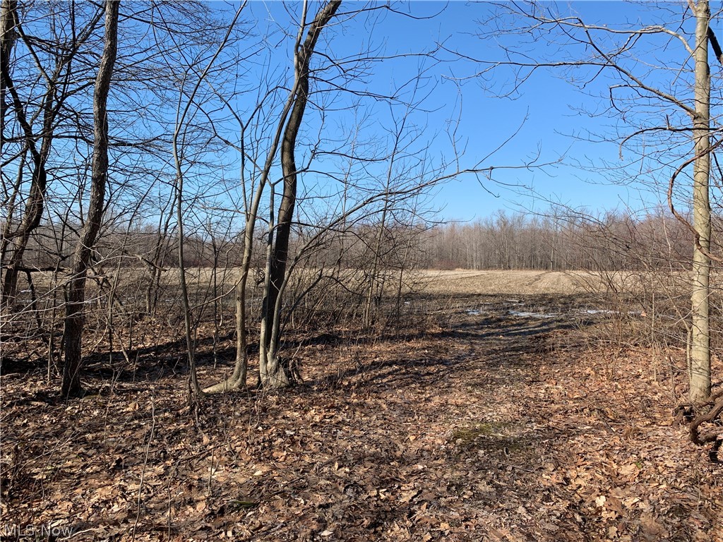 Brown Road Jefferson, OH 44047 - Photo 24 of 31 Gallery Image 24