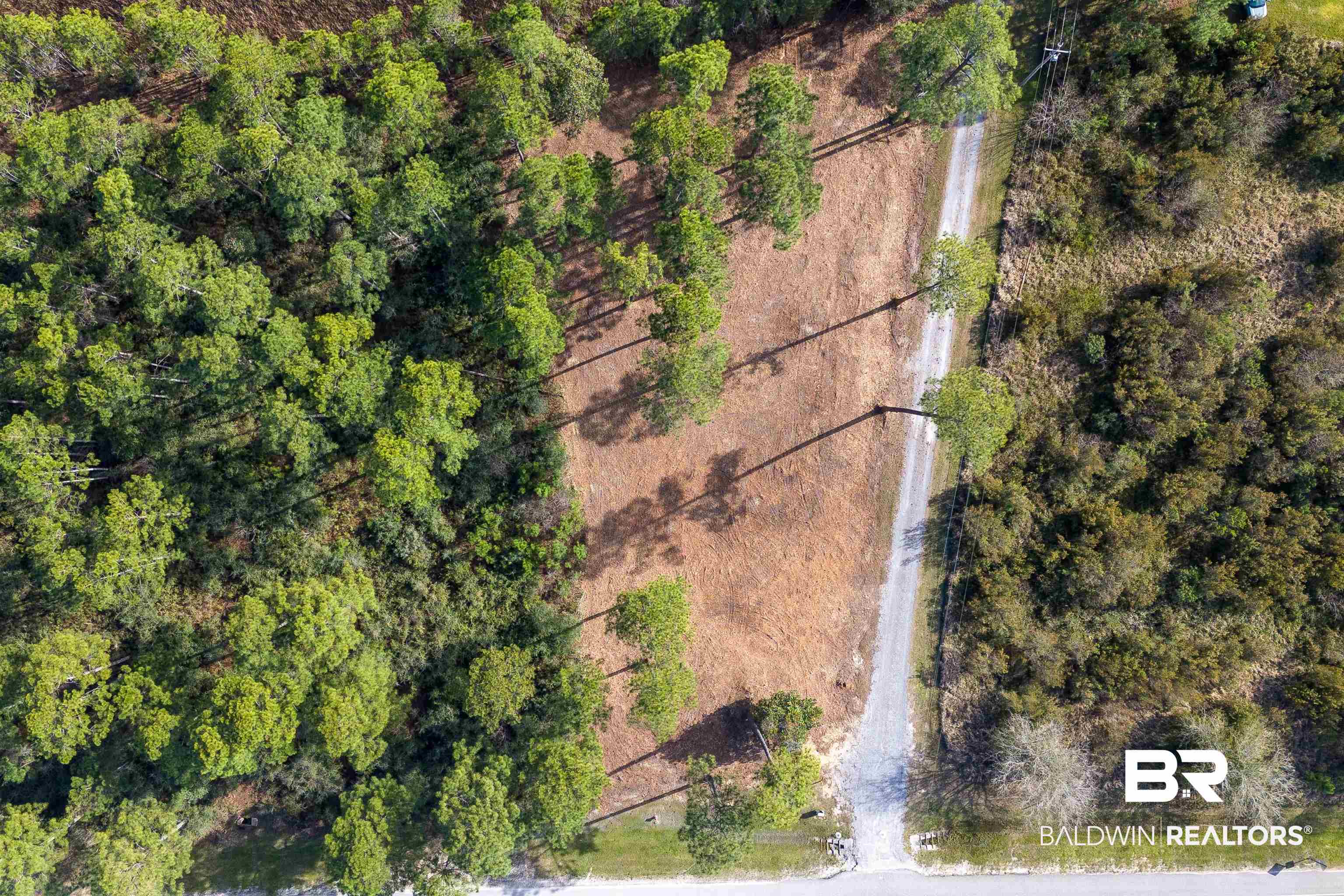 0 Canal Road Orange Beach, AL 36561 - Photo 23 of 25 Drone / aerial view featuring a forest view