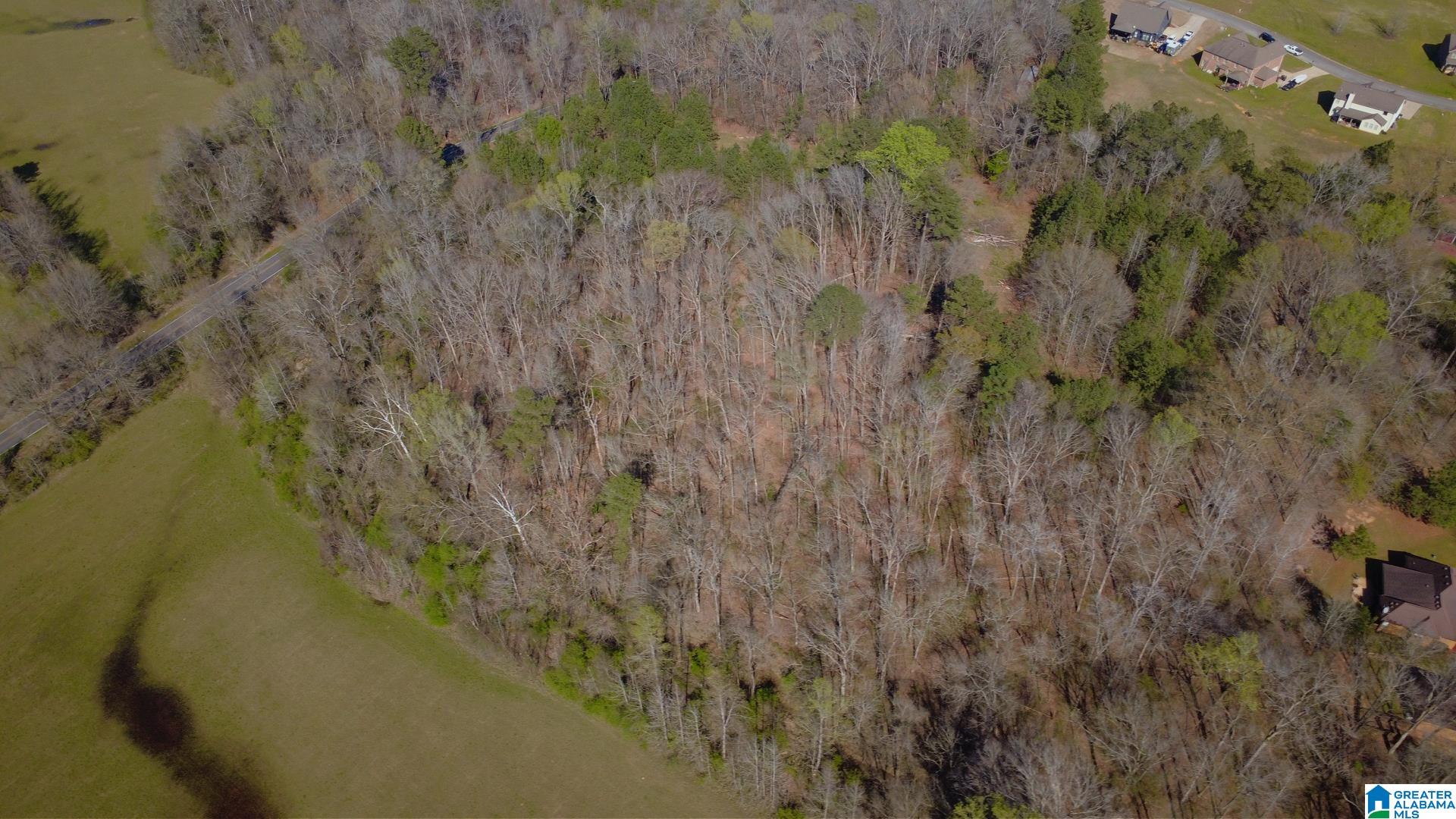 3590 Lindsey Loop Road Bessemer, AL 35022 - Photo 4 of 21 Gallery Image 4