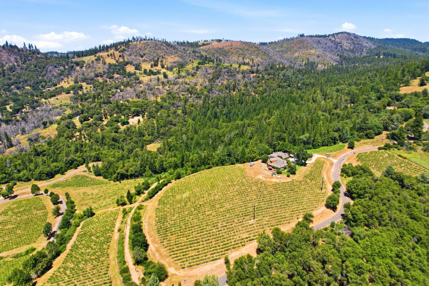 7201 Happy Valley Road Somerset, CA 95684 - Photo 74 of 75 Expansive property featuring a vineyard, a residence with a paved access roads, and diverse tree coverage. Truly a magical property set on the top of the hill overlooking the entire valley. Nearly 360 degree views can be seen from this special home.