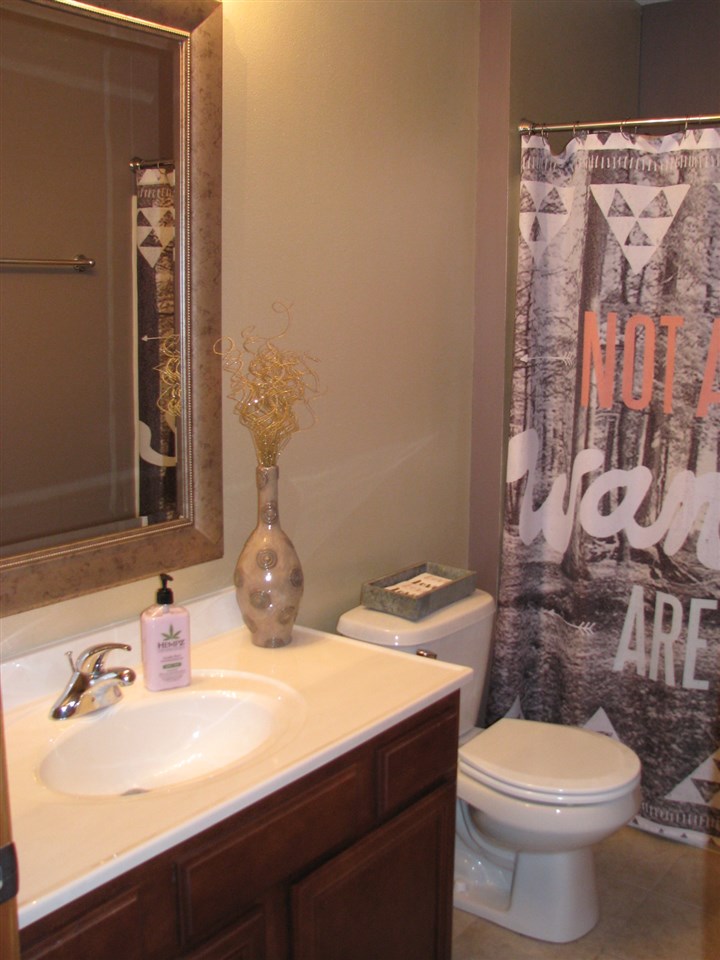 11044 Chicory Ridge Way Roscoe, IL 61073 - Photo 18 of 20 a bathroom with a sink a toilet and shower curtain