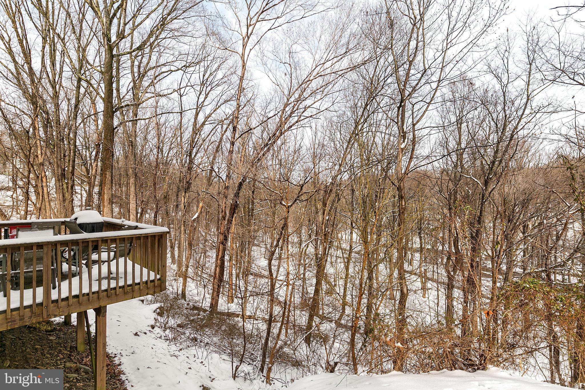2030 Flag Marsh Road Mount Airy, MD 21771 - Photo 26 of 26 Gallery Image 26