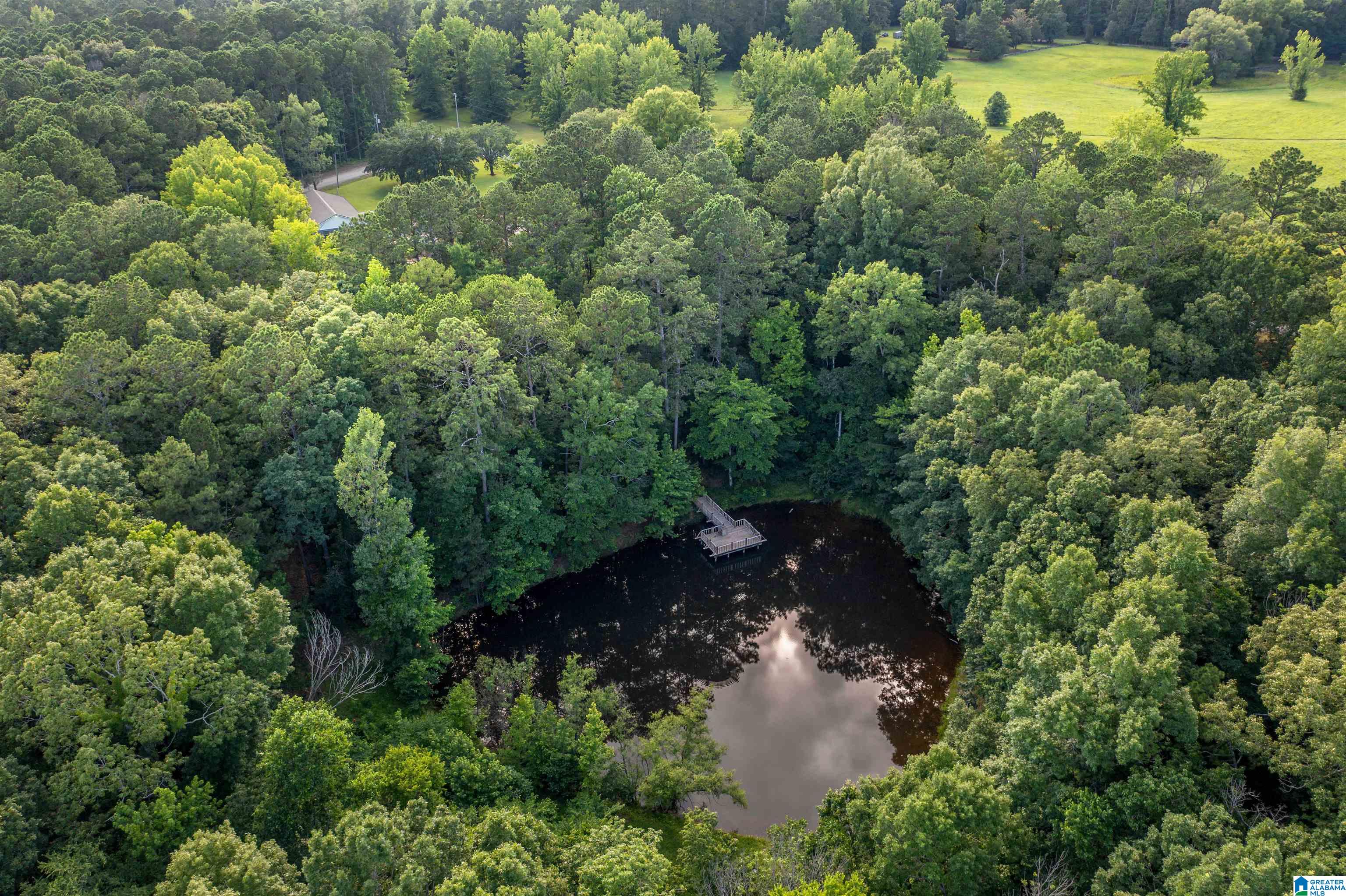 880 Rolling Hills Road Gadsden, AL 35901 - Photo 10 of 51
