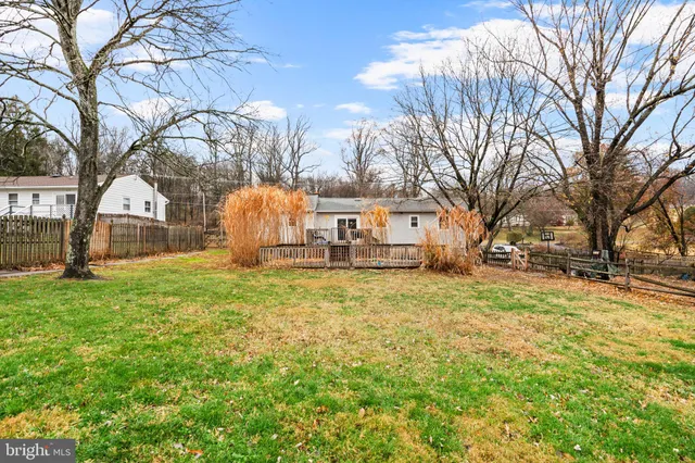a view of yard with trees