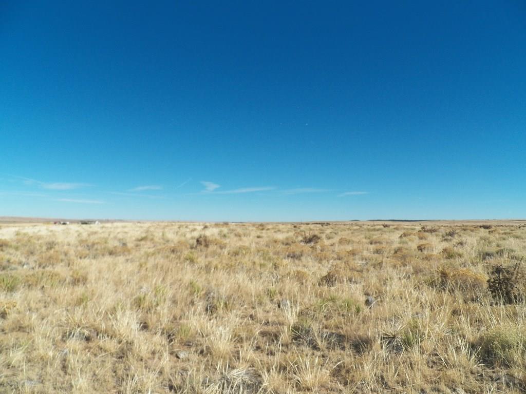 Tbd Tbd Sun River Road Walsenburg, CO 81089 - Photo 3 of 19