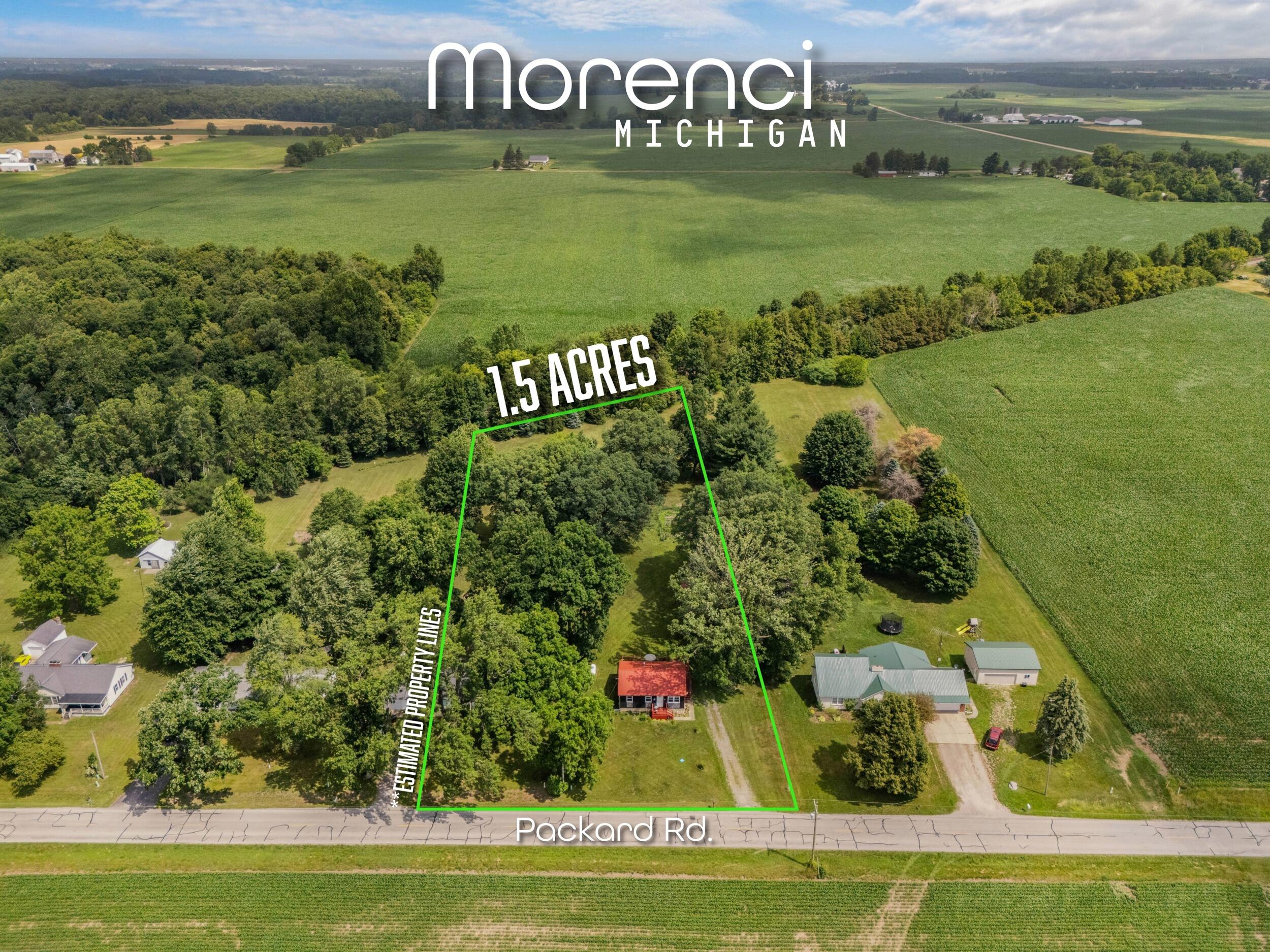 8312 Packard Road Morenci, MI 49256 - Photo 19 of 48 21_untitled - july 01, 2026 at 12.24.40