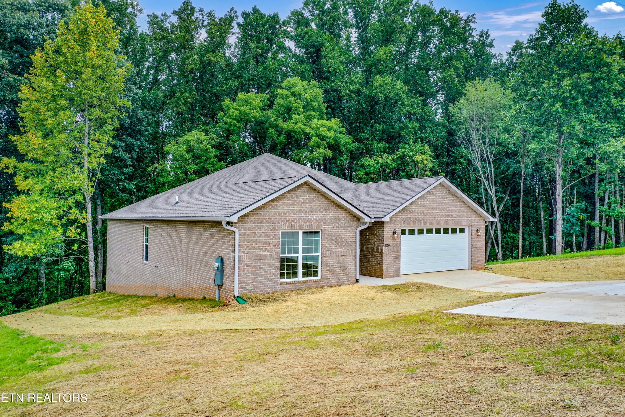 3650 Big Springs Road Friendsville, TN 37737 - Photo 3 of 26