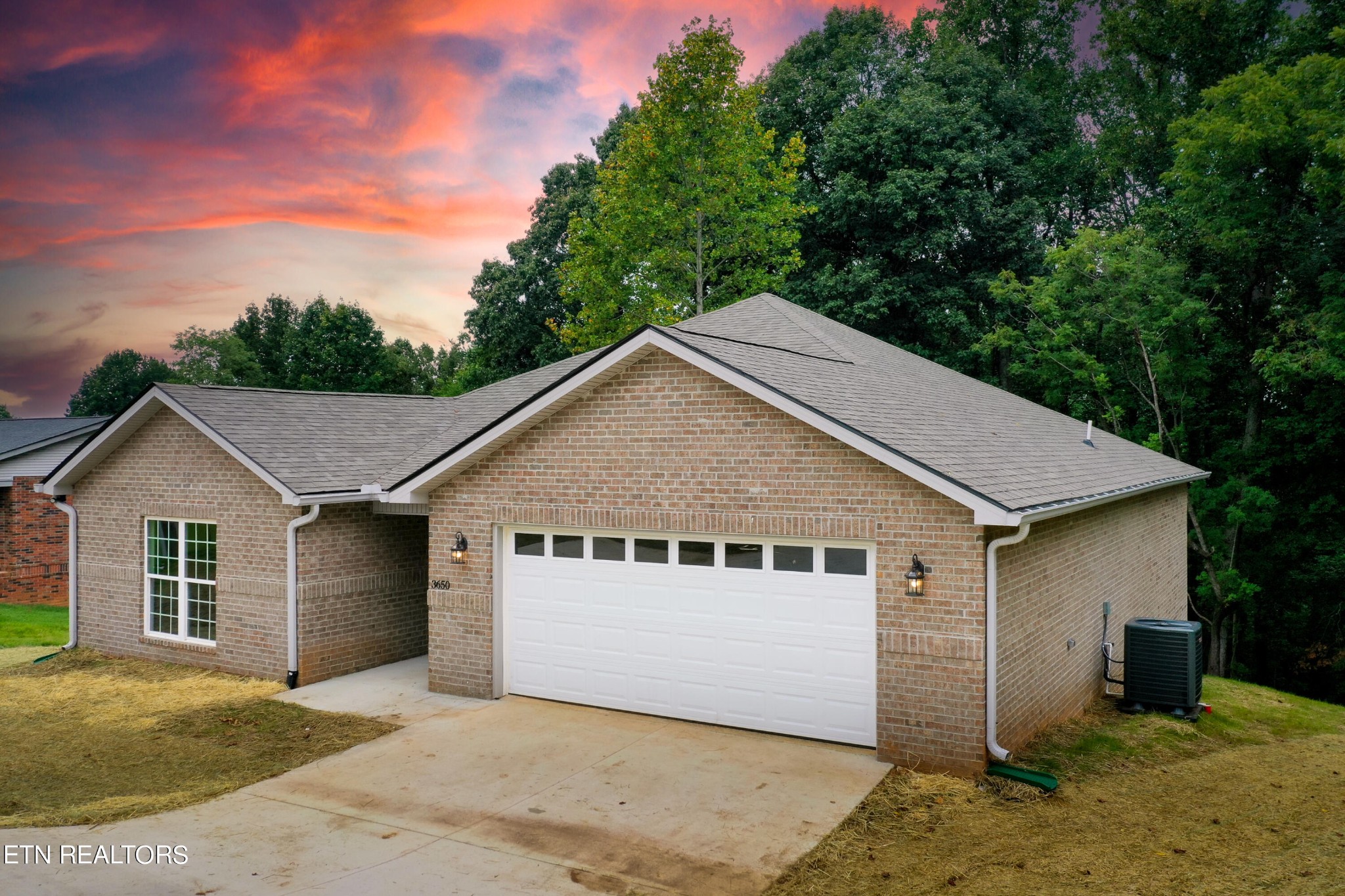 3650 Big Springs Road Friendsville, TN 37737 - Photo 4 of 26 a view of a house with a yard plants and large tree
