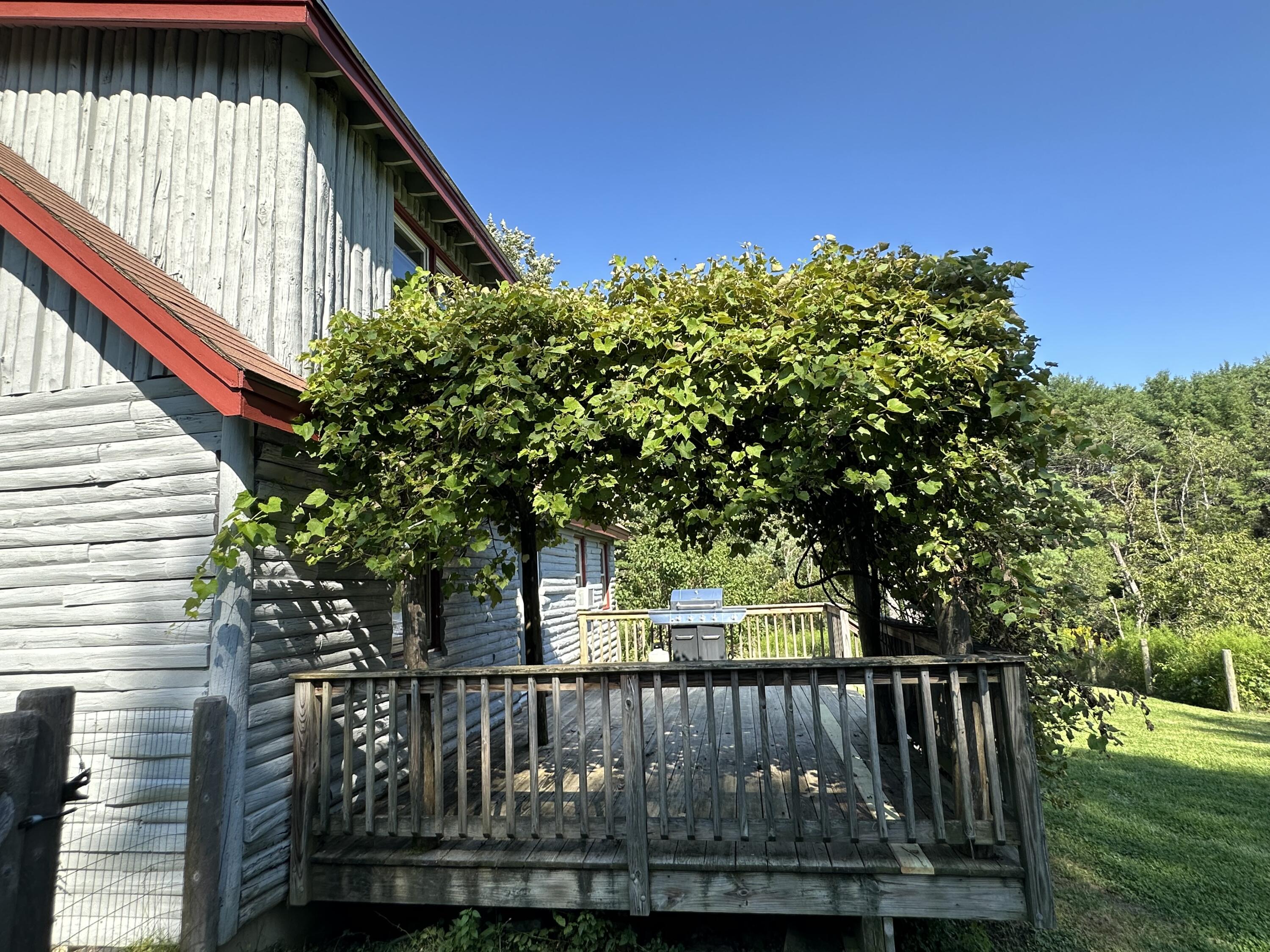 533 Pleasant Hill Road Brunswick, ME 04011 - Photo 27 of 33 Back Deck With Grape Arbor!