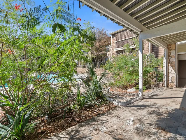 a view of a garden with plants