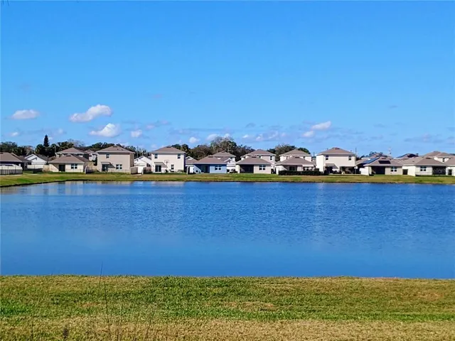 a view of a yard with palm tree