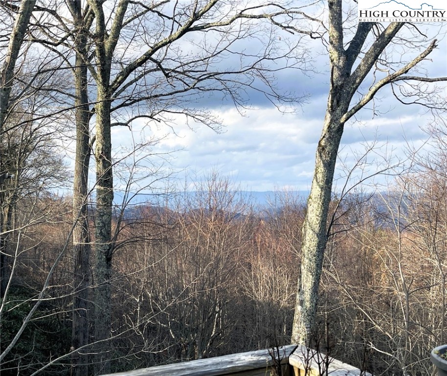 710 Pine Ridge Road Beech Mountain, NC 28604 - Photo 6 of 42 a backyard of a house with lots of green space