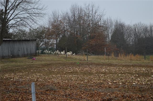 877 Bells Mill Road Pelham, TN 37366 - Photo 19 of 20 a view of a backyard
