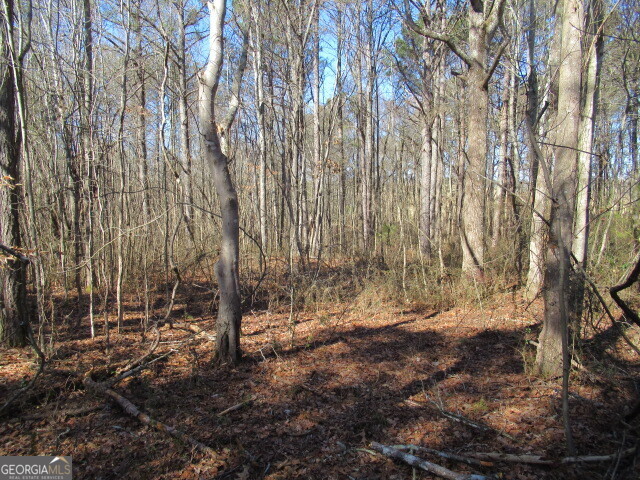 5060 Stateline Road Bowdon, GA 30108 - Photo 2 of 6