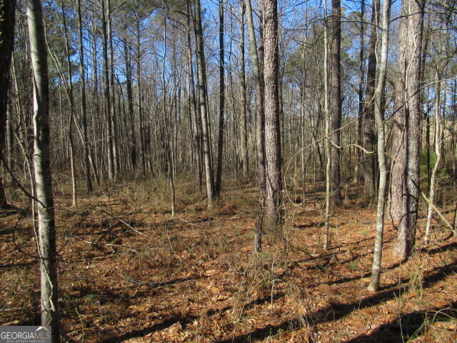 5060 Stateline Road Bowdon, GA 30108 - Photo 4 of 6