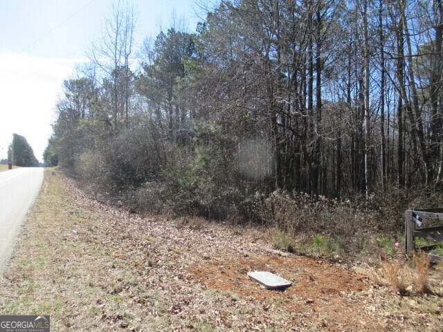 5060 Stateline Road Bowdon, GA 30108 - Photo 5 of 6