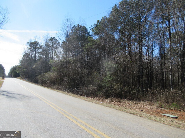 5060 Stateline Road Bowdon, GA 30108 - Photo 6 of 6