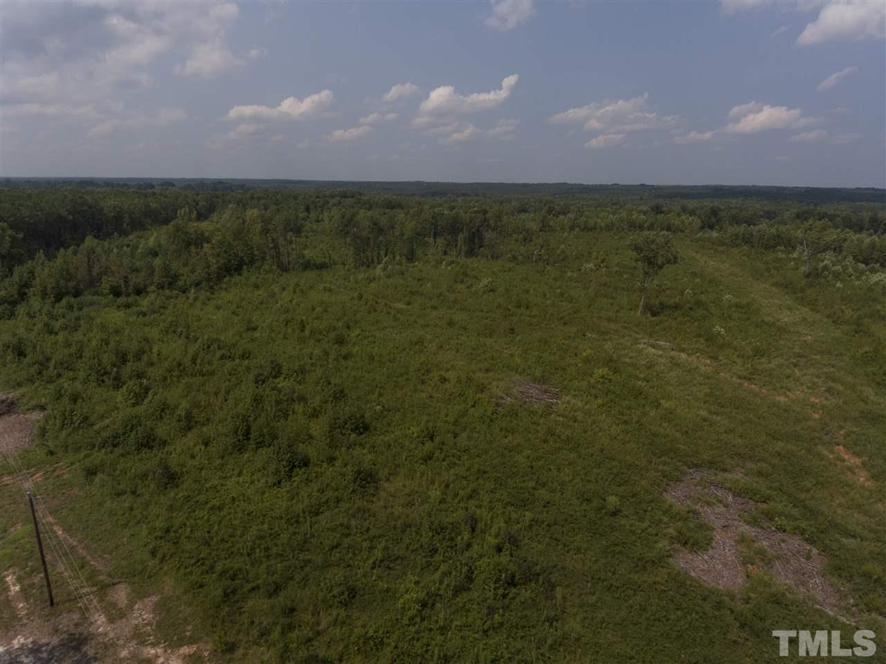 0 Collins Mill Road Castalia, NC 27816 - Photo 4 of 8 Gallery Image 4