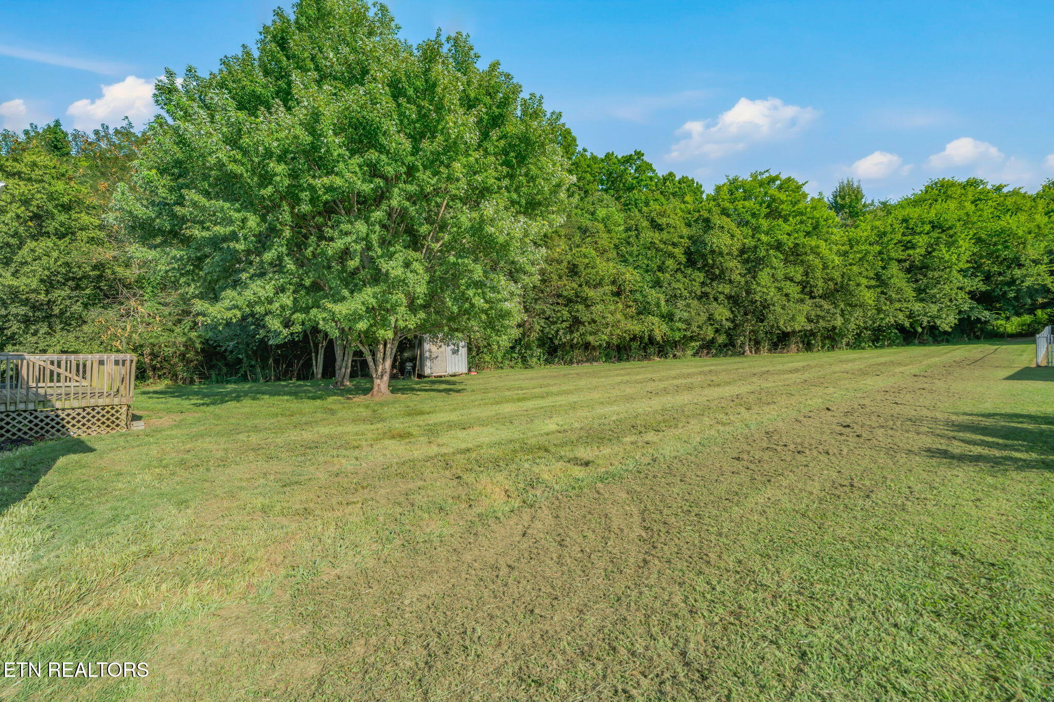 522 Farm Loop Road New Market, TN 37820 - Photo 28 of 35 34-web-or-mls-522 Farm Loop Road-29