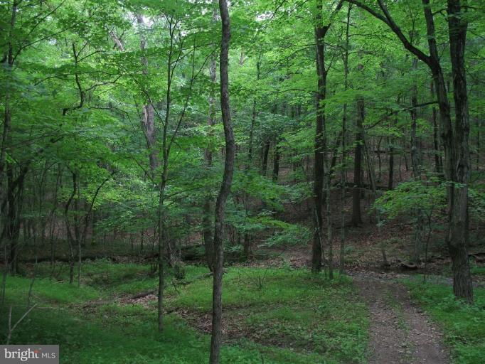 Timber Lane Berkeley Springs, WV 25411 - Photo 1 of 1 Exterior (Main)