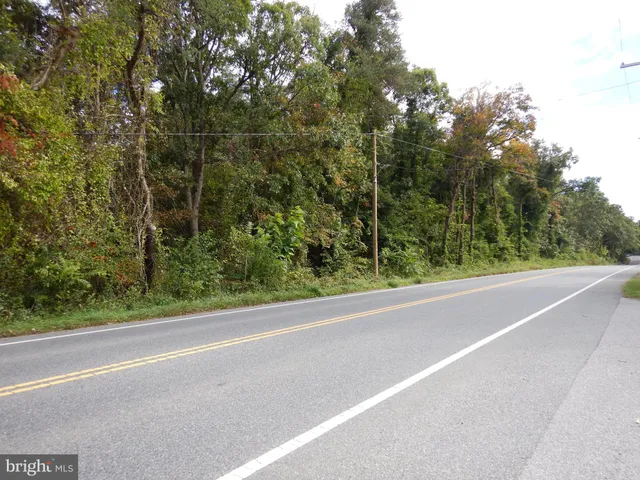 a view of a forest view