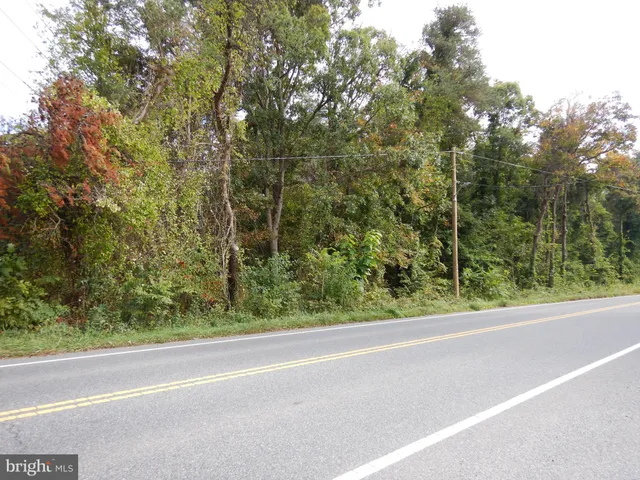 a view of a yard from a window