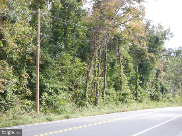 a view of a yard from a window
