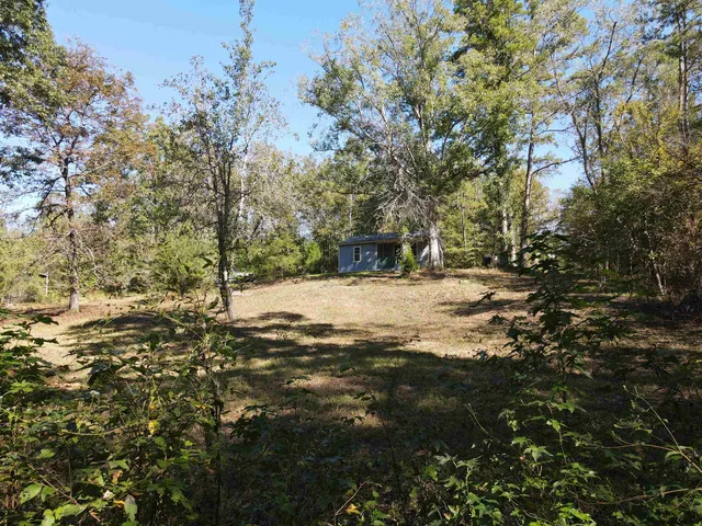 a view of empty space with trees