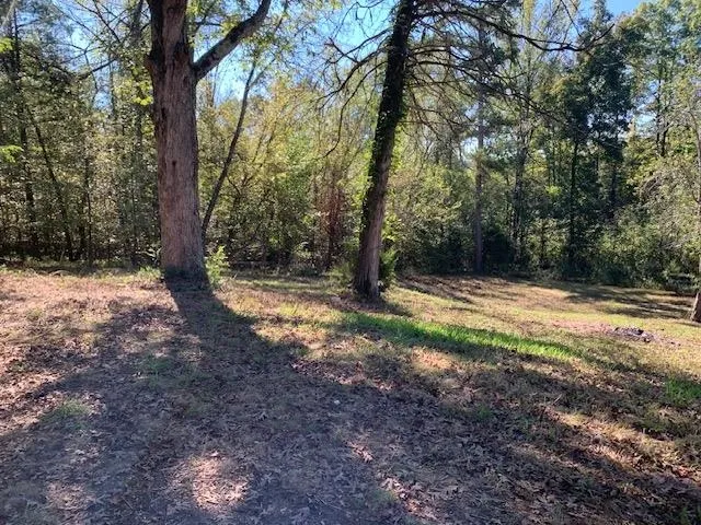 a view of outdoor space with trees