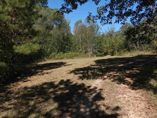 a view of dirt road with trees