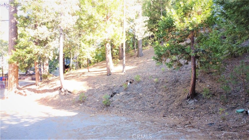 330 Castle Gate Road Lake Arrowhead, CA 92352 - Photo 10 of 12