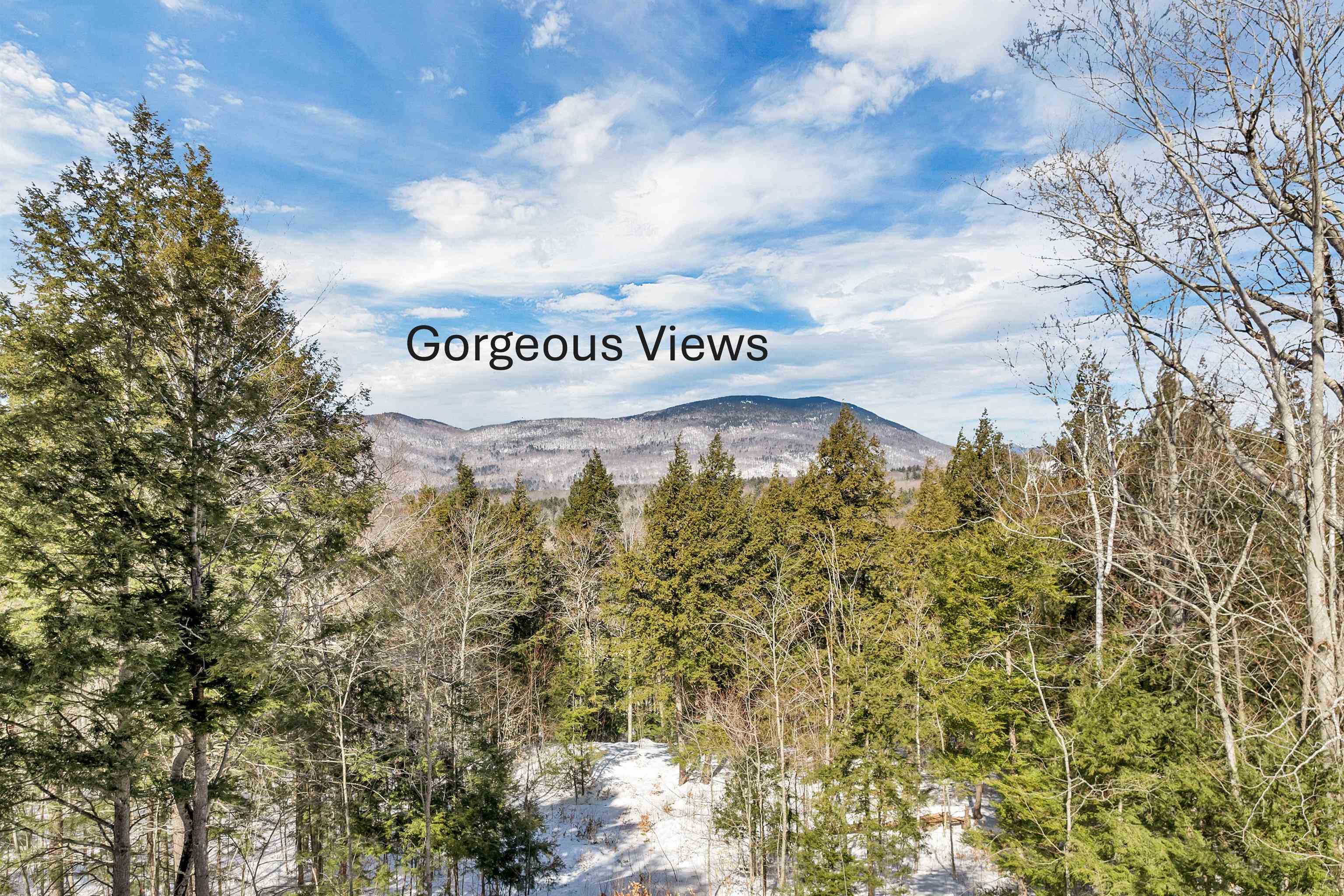 0 Buzzell Rdg Road, Unit 10 Sandwich, NH 03227 - Photo 1 of 60