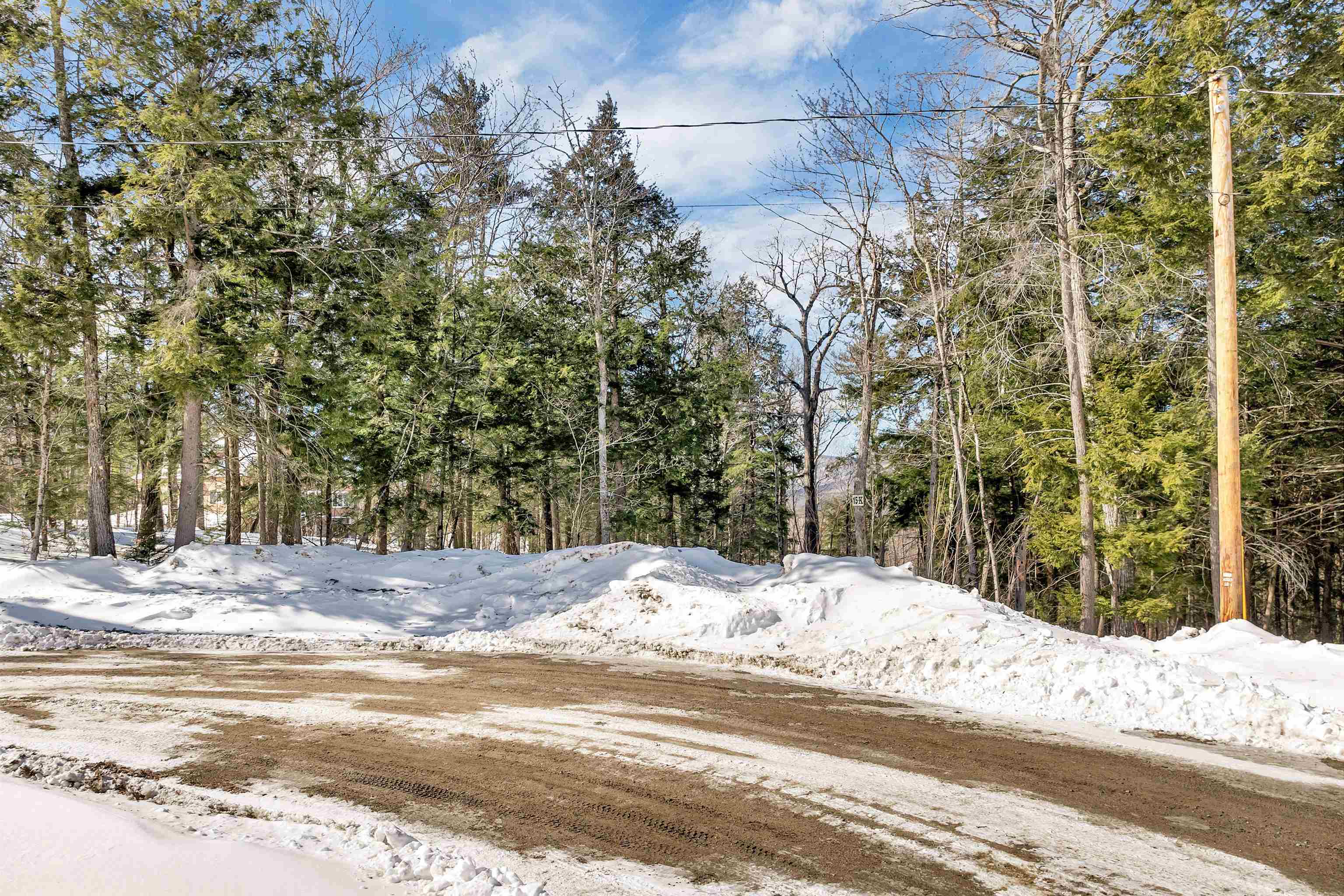 0 Buzzell Rdg Road, Unit 10 Sandwich, NH 03227 - Photo 11 of 60