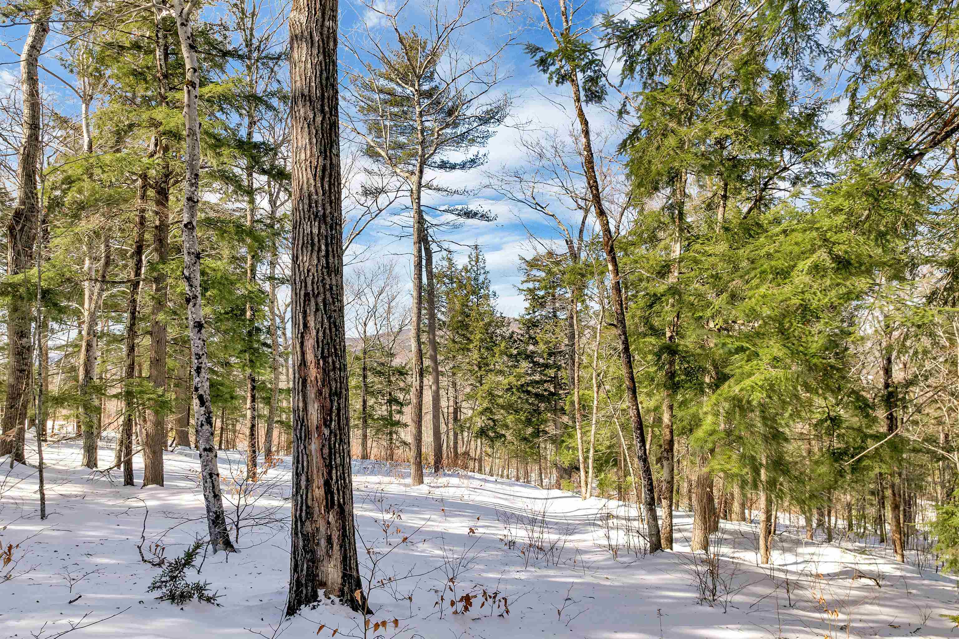0 Buzzell Rdg Road, Unit 10 Sandwich, NH 03227 - Photo 6 of 60