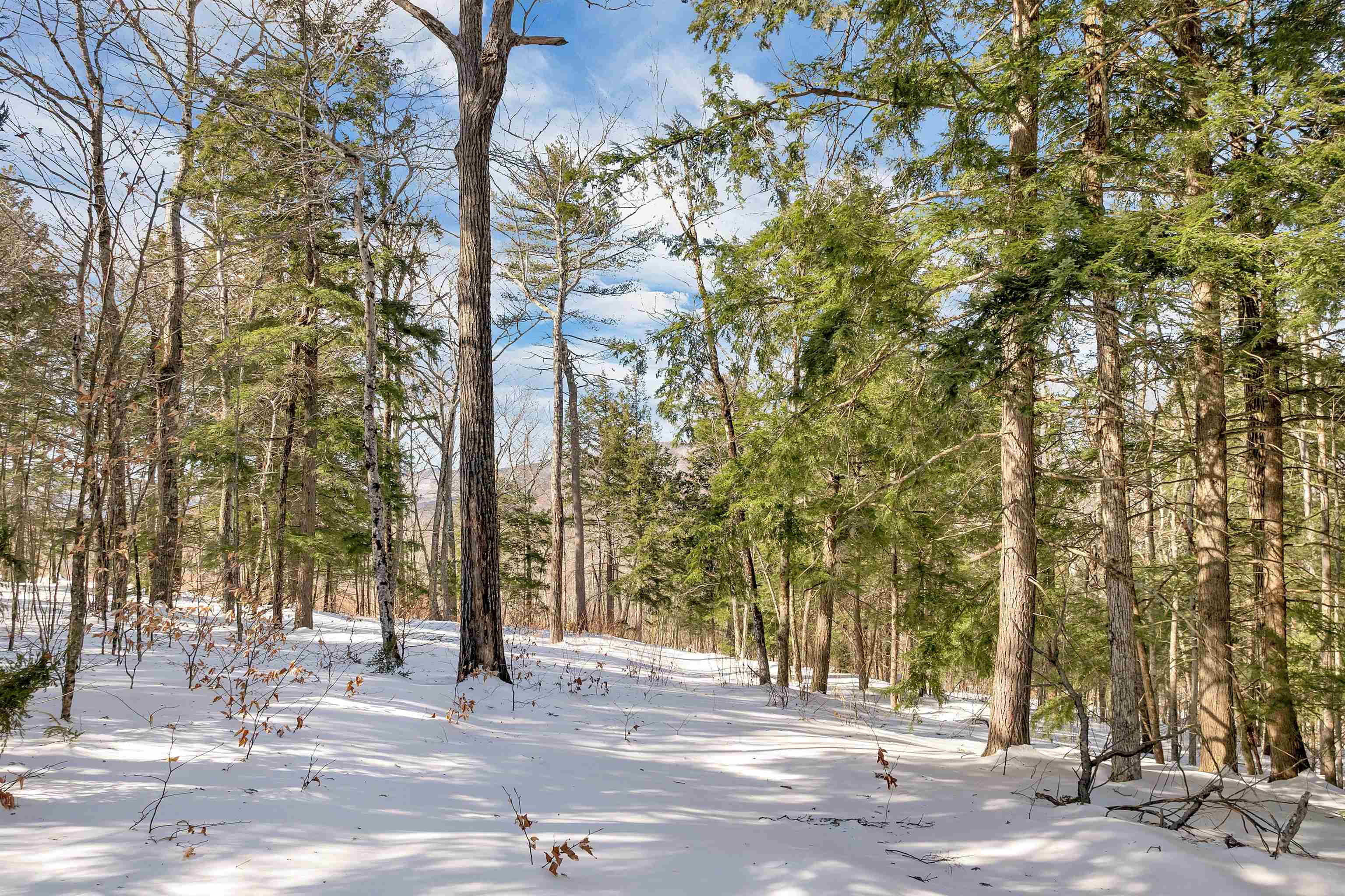 0 Buzzell Rdg Road, Unit 10 Sandwich, NH 03227 - Photo 7 of 60