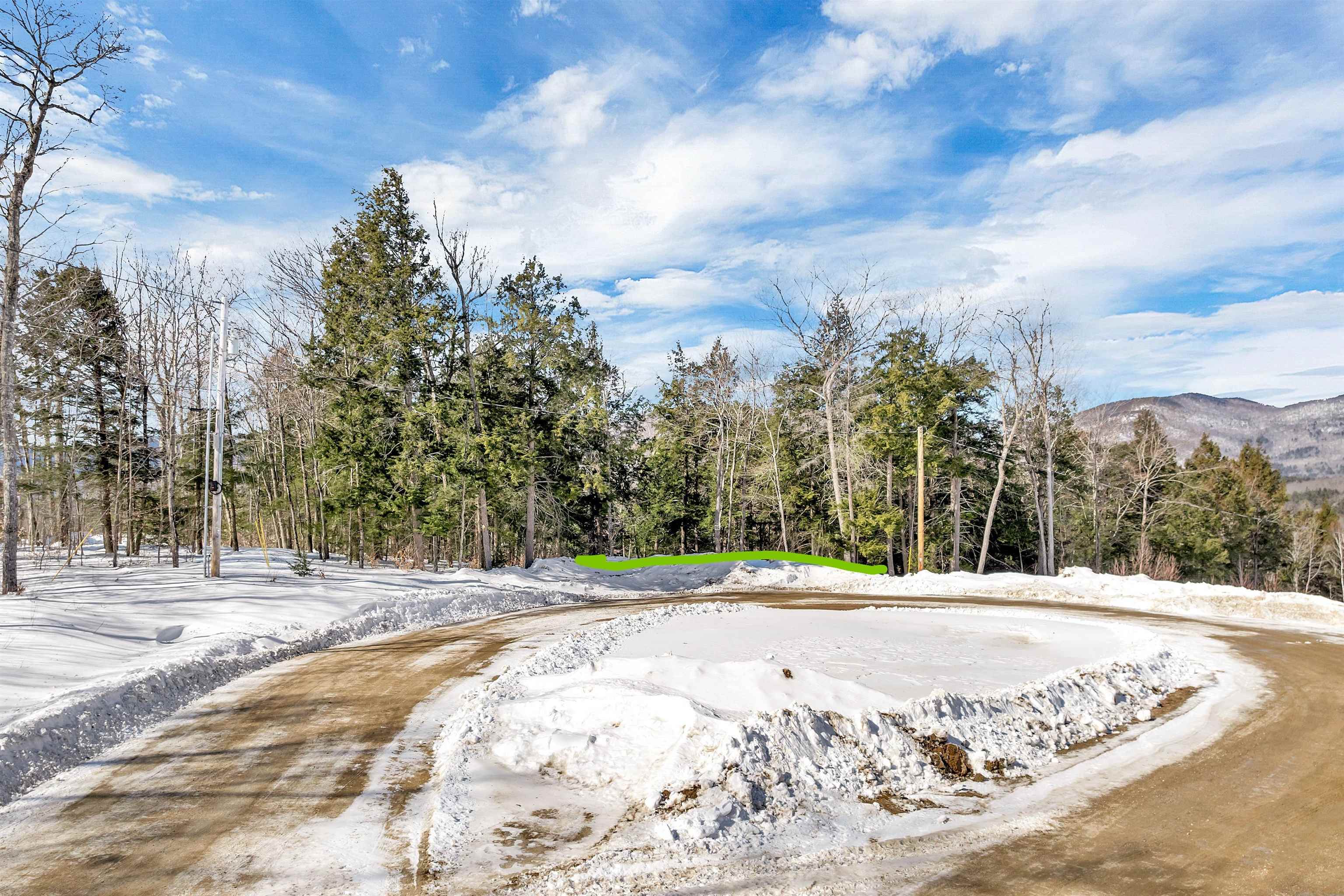 0 Buzzell Rdg Road, Unit 10 Sandwich, NH 03227 - Photo 10 of 60