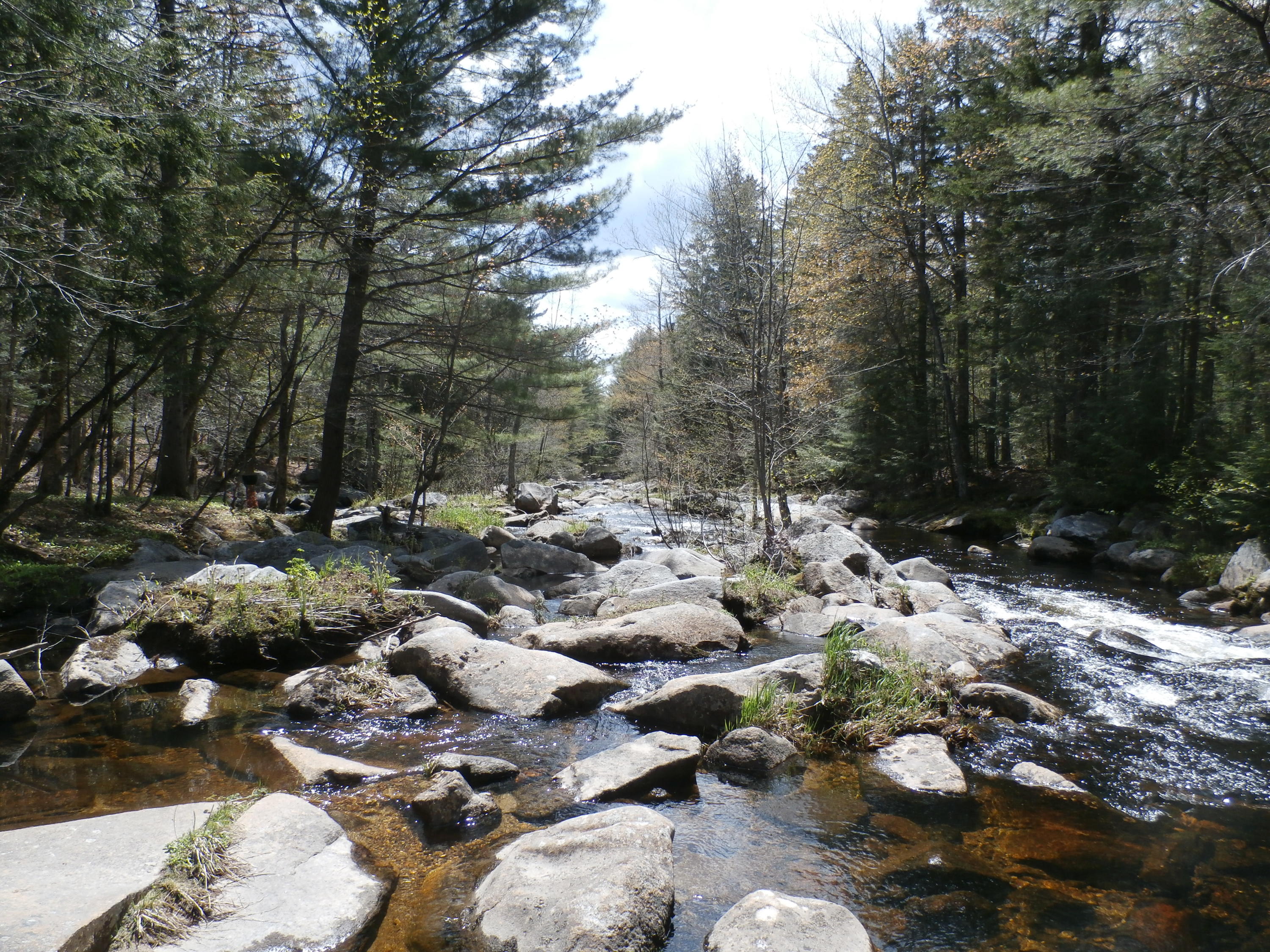 1021 South Arm Road Andover, ME 04216 - Photo 34 of 58 P5140874