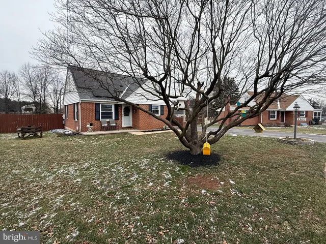 a view of outdoor space with a tree