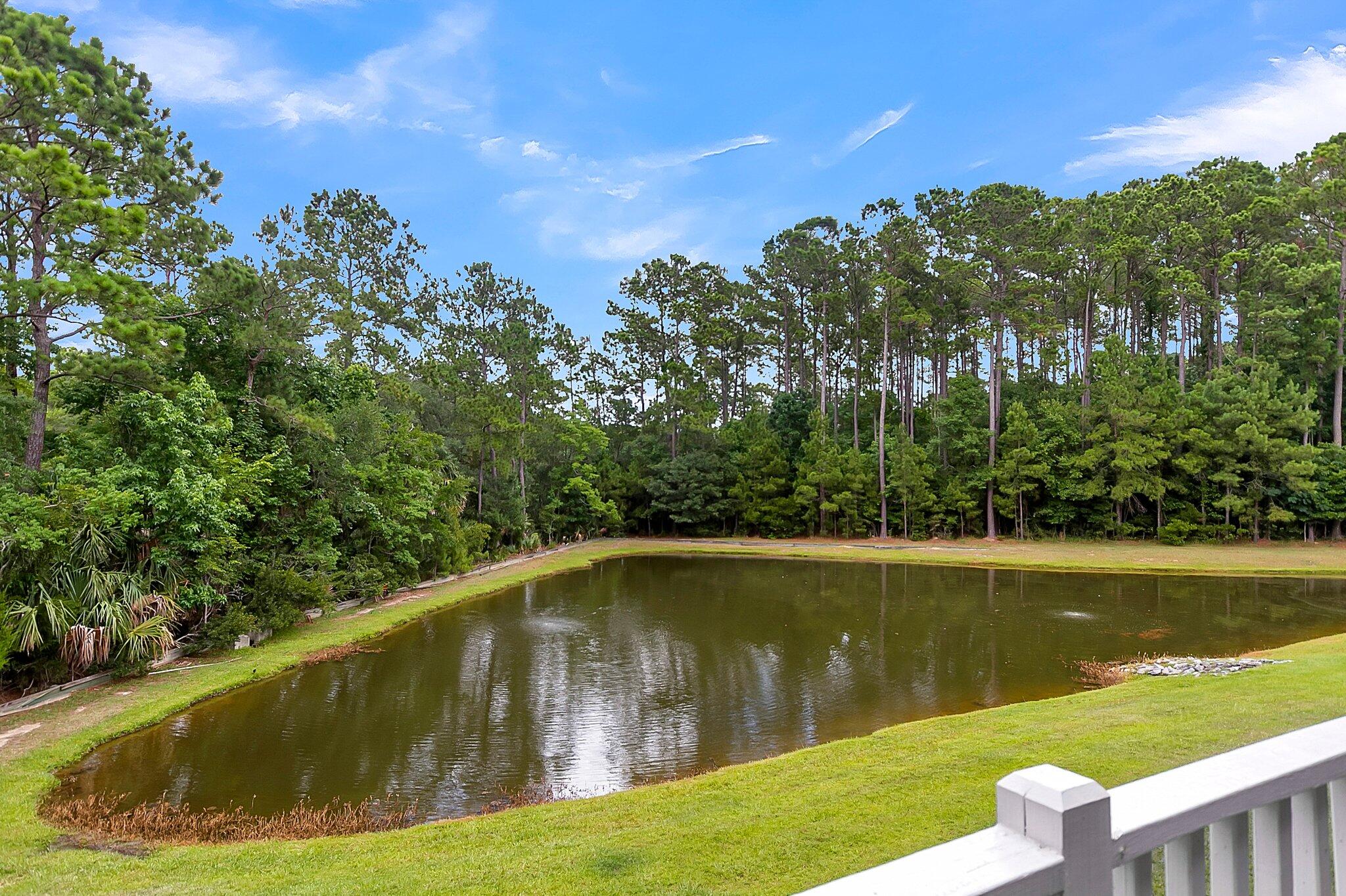 176 Fair Sailing Road Mount Pleasant, SC 29466 - Photo 18 of 56 View of pond