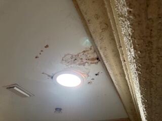 4793 Badger Road West Palm Beach, FL 33417 - Photo 20 of 29 IMG_1414