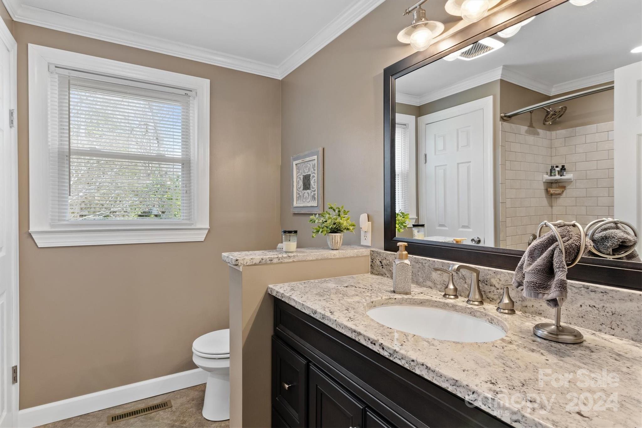 215 6th Street Northeast Conover, NC 28613 - Photo 29 of 47 a bathroom with a granite countertop sink a toilet and a mirror