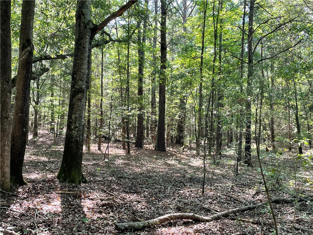 0 Clatworthy Road Honea Path, SC 29654 - Photo 20 of 27