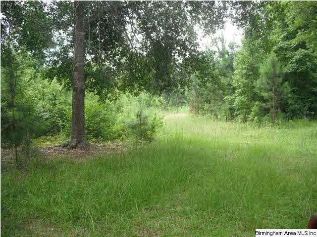 Sardis Road, Unit 1 Lineville, AL 36266 - Photo 4 of 22